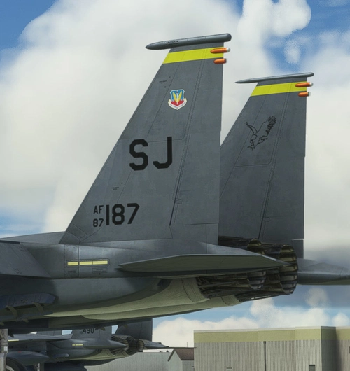Seymour Johnson F-15E tails pack