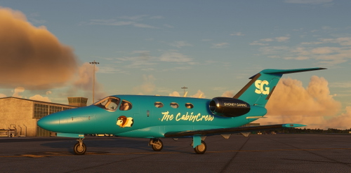 Shoney Gaming Cockspur C510 Mustang