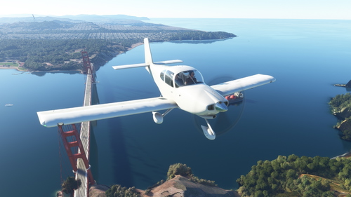 SimWorks Studios RV-10 Blank Textures