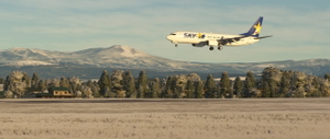 SKYMARK 737 Fleet thumbnail 5