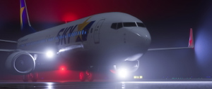 SKYMARK 737 Fleet thumbnail 3