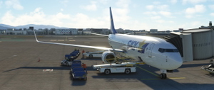 SKYMARK 737 Fleet thumbnail 9