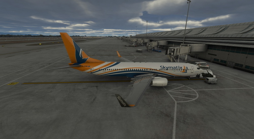 Skymatix - Livery for the PMDG B738 (BW)
