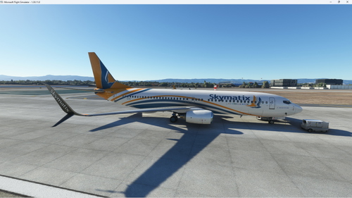 Skymatix - Livery for the PMDG B738 (SSW)