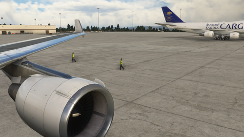 Skysim MD11 wing views