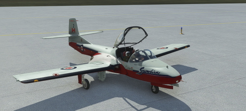 Snowbird #2 Livery for Tweet 37