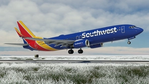 Southwest Airlines "Heart" [Pack] w/Cabin PMDG 737-800 thumbnail 3