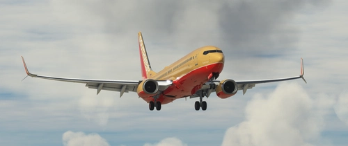 Southwest Airlines | PMDG 737-8H4 | The Herbert D. Kelleher | 