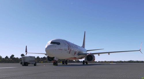 SpiceJet 737-800 Max [ VT-MXG ]