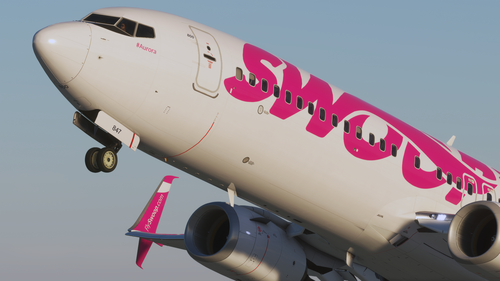 Swoop (Mini-Fleet Package) - PMDG 737-800