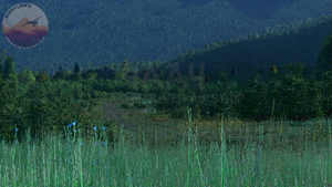 Takhin River Airstrip, 4AA4, Alaska, USA thumbnail 4