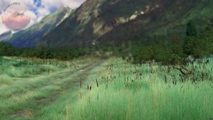 Takhin River Airstrip, 4AA4, Alaska, USA thumbnail 10