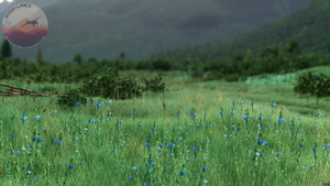 Takhin River Airstrip, 4AA4, Alaska, USA thumbnail 9