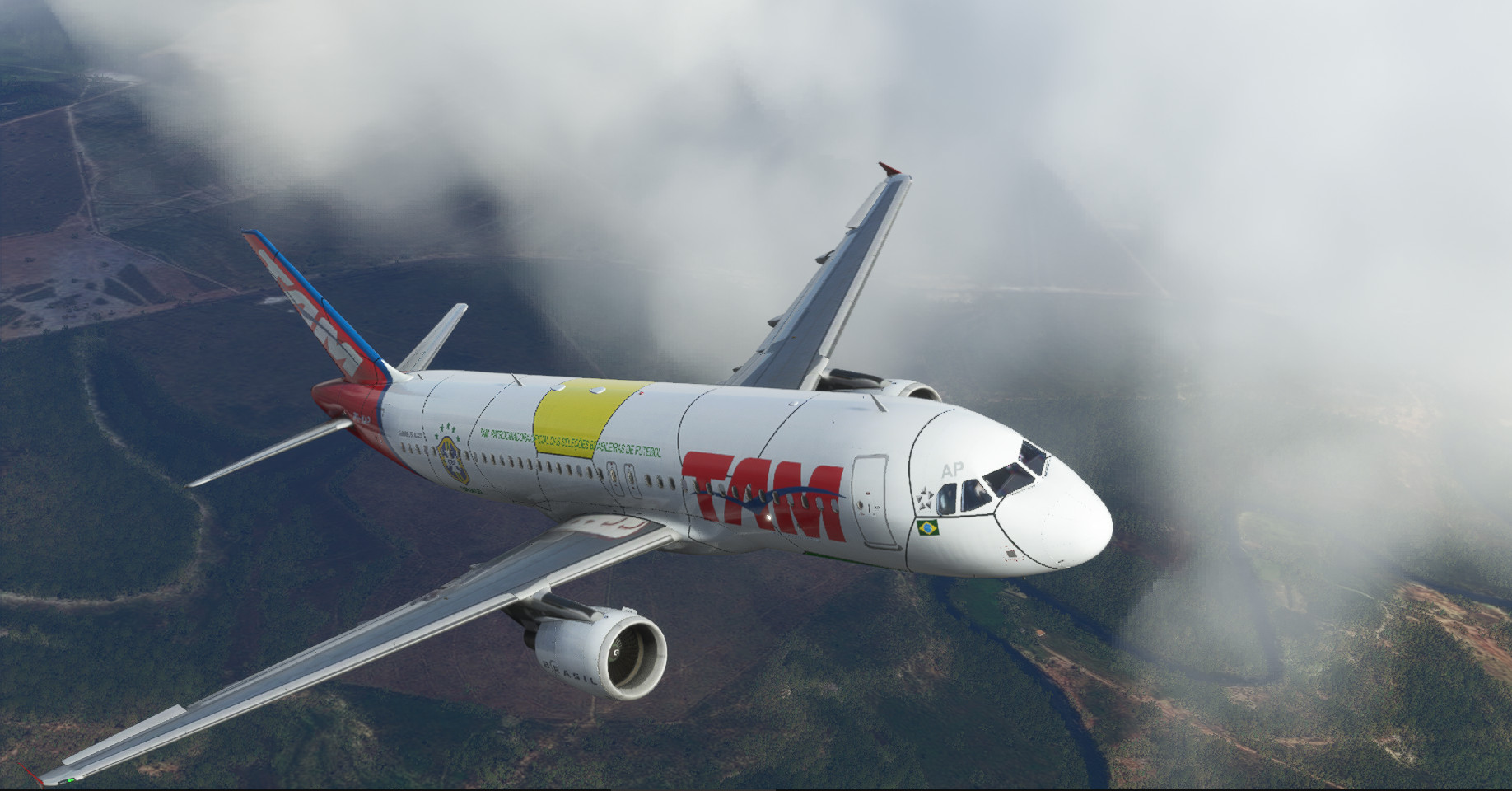 TAM (2010 World Cup) | PR-MAP | Fenix A320 | 8K - Aircraft