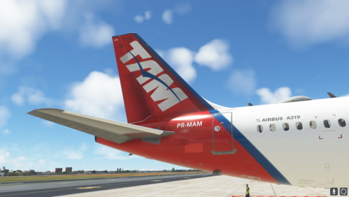 TAM PR-MAM/ LATINVFR AIRBUS A319IAE 