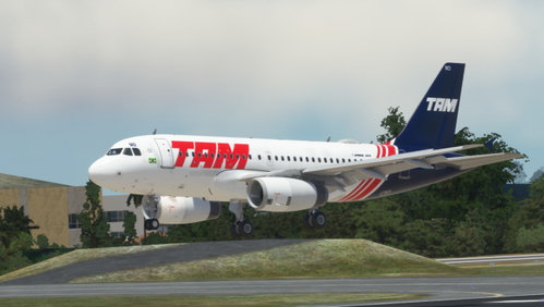 TAM Vintage PT-TMD/ LATINVFR AIRBUS A319IAE