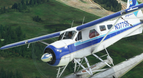 Taquan Air | N37756 | DHC-2 Beaver | 4K Resolution