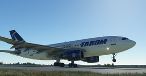 TAROM | YR-LCA | Airbus A310-300 | 8K thumbnail 4