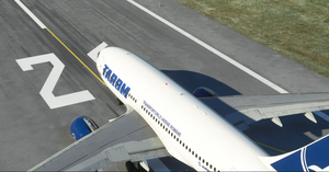 TAROM | YR-LCA | Airbus A310-300 | 8K thumbnail 5