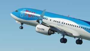 TUI 737-800. 7 Livery pack thumbnail 10