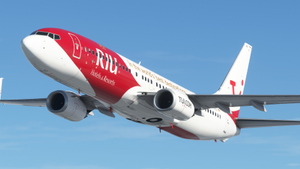 Tuifly [D-ATUZ RIU Hotels] w/Cabin PMDG B737-800 thumbnail 3