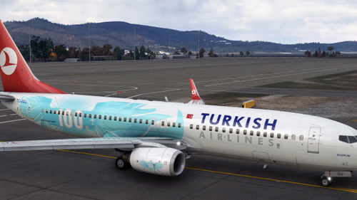 Turkish Airlines Boeing 737-8F2(WL)