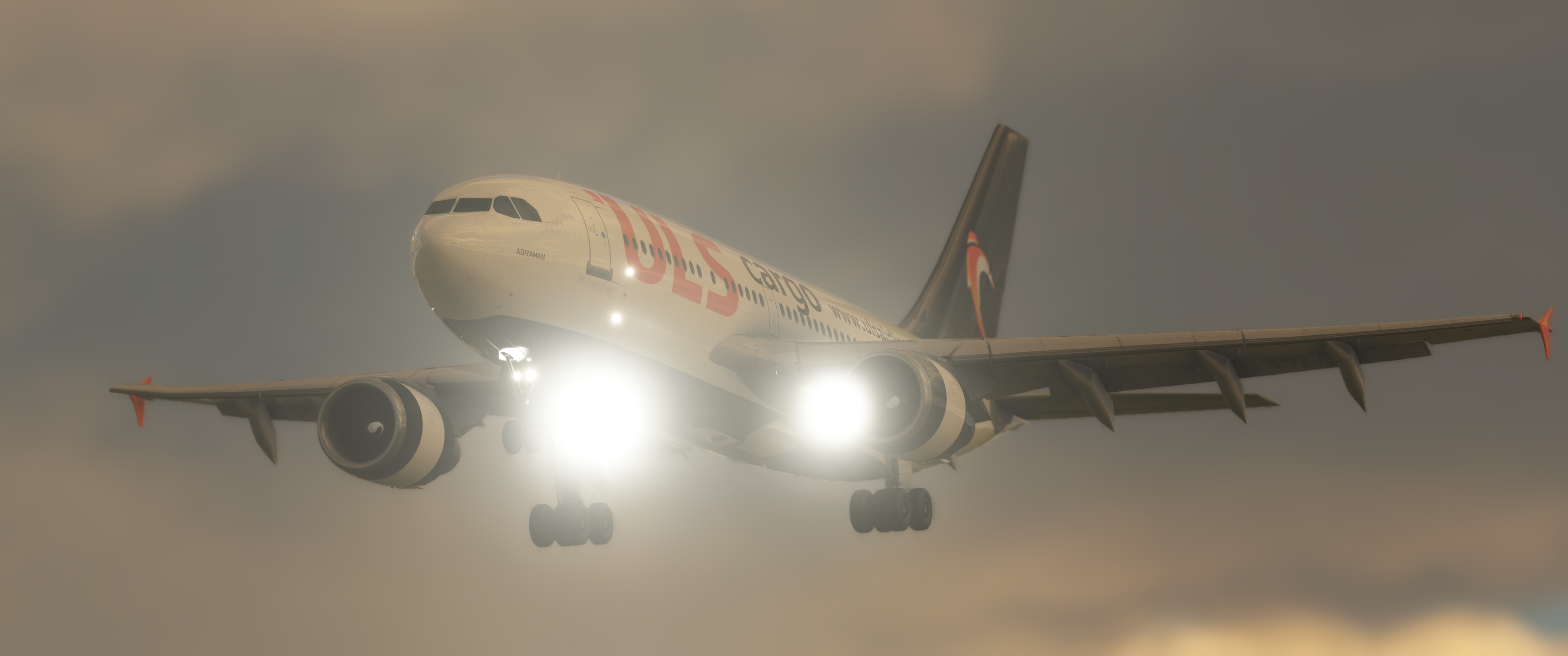 ULS Cargo TC-VEL  A310-308 - Image 1