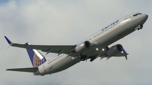 United Airlines (5-Pack) - PMDG 737-900ER thumbnail 8
