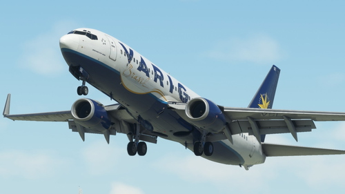 VARIG 737-800 PP-VSE PMDG (circa 2005)