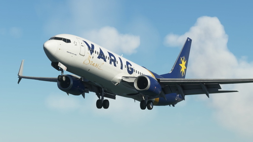 VARIG 737-800 PP-VSO PMDG (PT-SSO based)