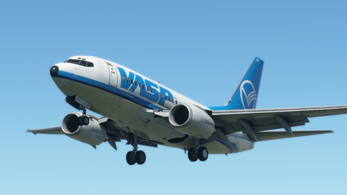 VASP Old Colors 737-600 PP-SPO PMDG