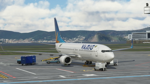 VARIG Linhas Aéreas  PR-VBB | PMDG 737-800