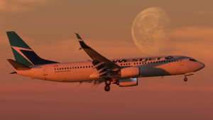 WestJet (5-Pack) - PMDG 737-800 thumbnail 3