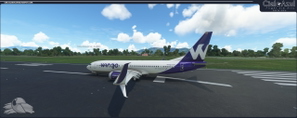 Wingo | HP-1536CMP | PMDG Boeing 737-800 [8K] thumbnail 1