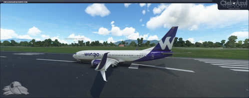 Wingo | HP-1536CMP | PMDG Boeing 737-800 [8K]