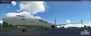 Wingo | HP-1536CMP | PMDG Boeing 737-800 [8K] thumbnail 2