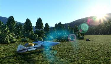 Floxtrot's Winkle Bar Rogue River bush airstrip Microsoft Flight Simulator