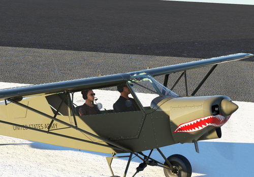 Zlin Savage Cub United States Army - Shark