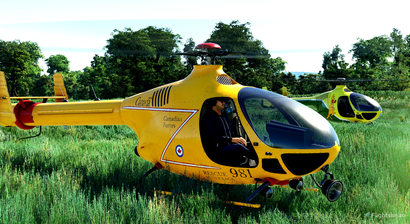 HCG Digital Arts Ltd. HCG Hurricane HC450N для MSFS