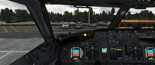PMDG 737-800 Custom Views 