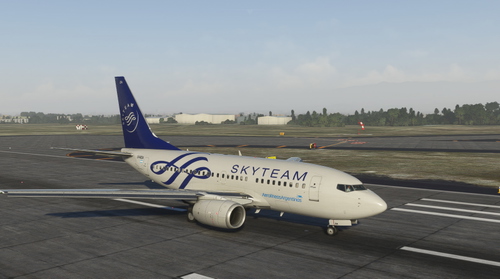 Aerolineas Argentinas SKYTEAM LV-BZA (737) PMDG 737-600