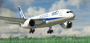 All Nippon Airways JA838A | Kuro B787-8 V2 thumbnail 3