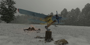 An 2 Aeroflot-02247 thumbnail 3