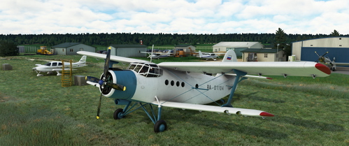 An-2 RA-01104 Livery