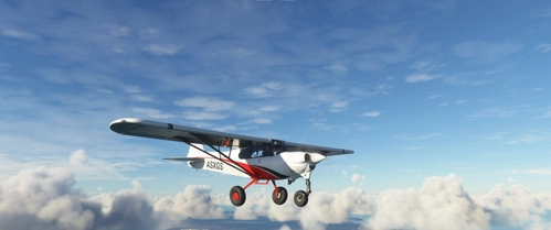 Asobo NXCub Realism Mod
