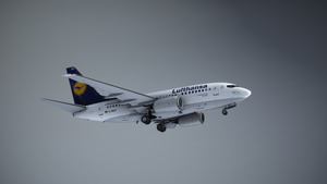 PMDG B737-600 Lufthansa D-ABIH thumbnail 3