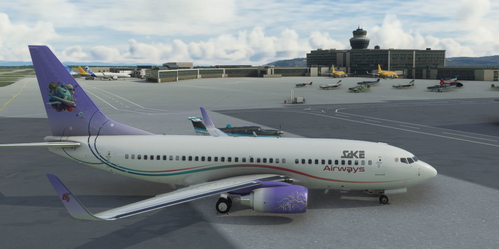 B737-700  "SAKE Airways"