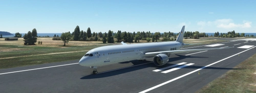 B787-10 Bundesmarine / German Navy (fictional)