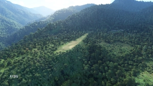 31 Challenging Bush Strips in PNG thumbnail 15
