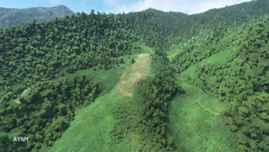 31 Challenging Bush Strips in PNG thumbnail 16